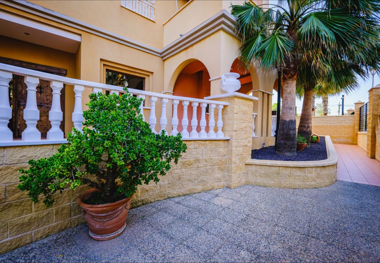 Apartamento en Torrevieja - ID47