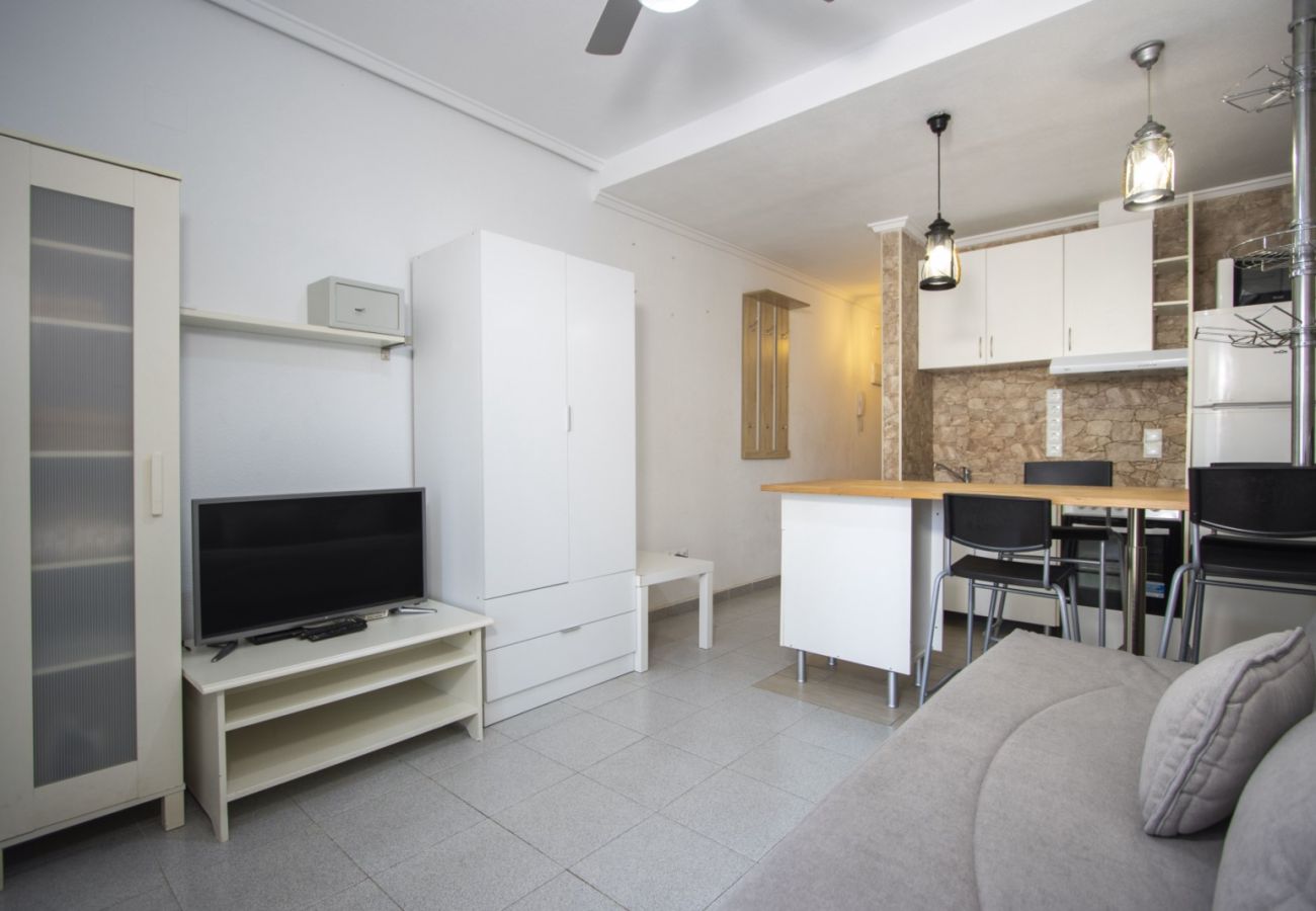 Apartamento en Torrevieja - ID49