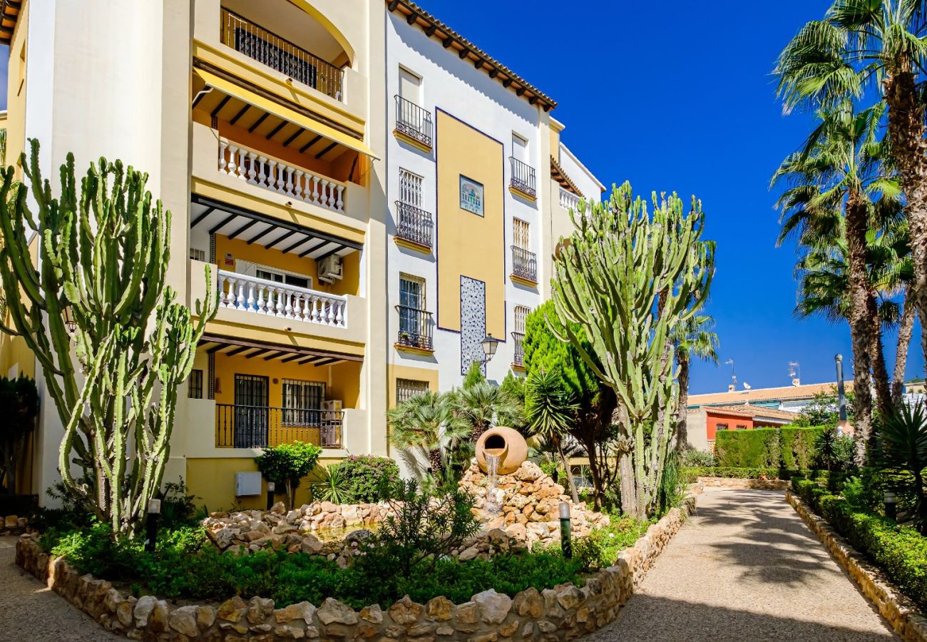 Apartamento en Torrevieja - ID157