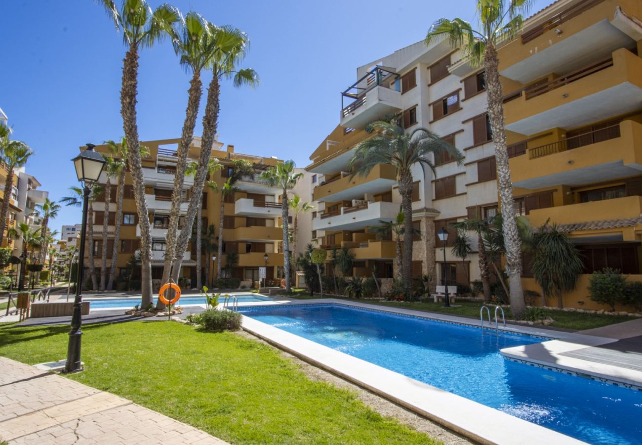 Apartamento en Torrevieja - ID198