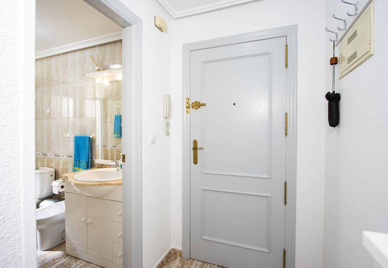 Apartamento en Torrevieja - ID197