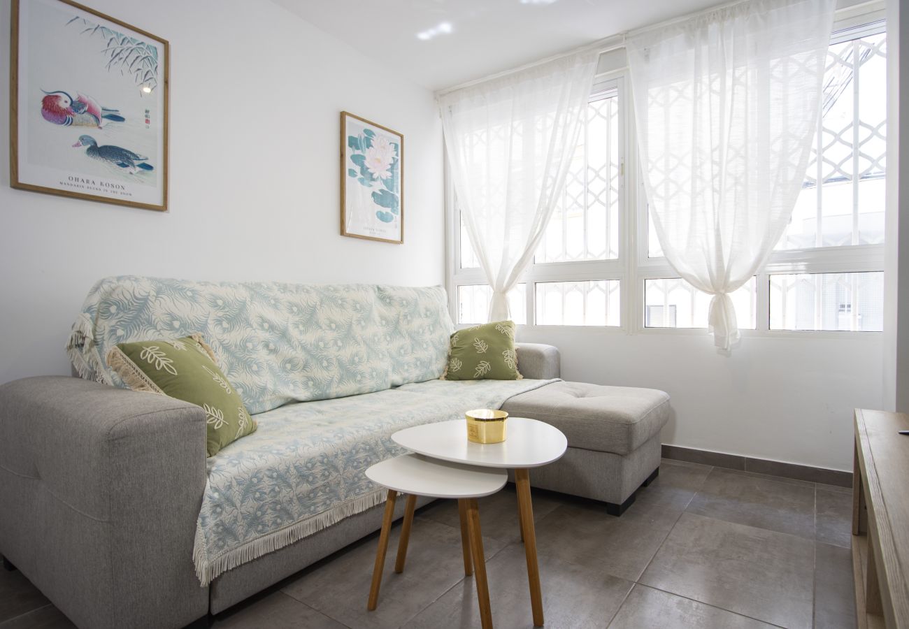 Apartamento en Torrevieja - ID172