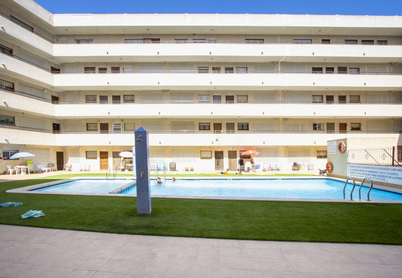 Apartamento en Torrevieja - ID172
