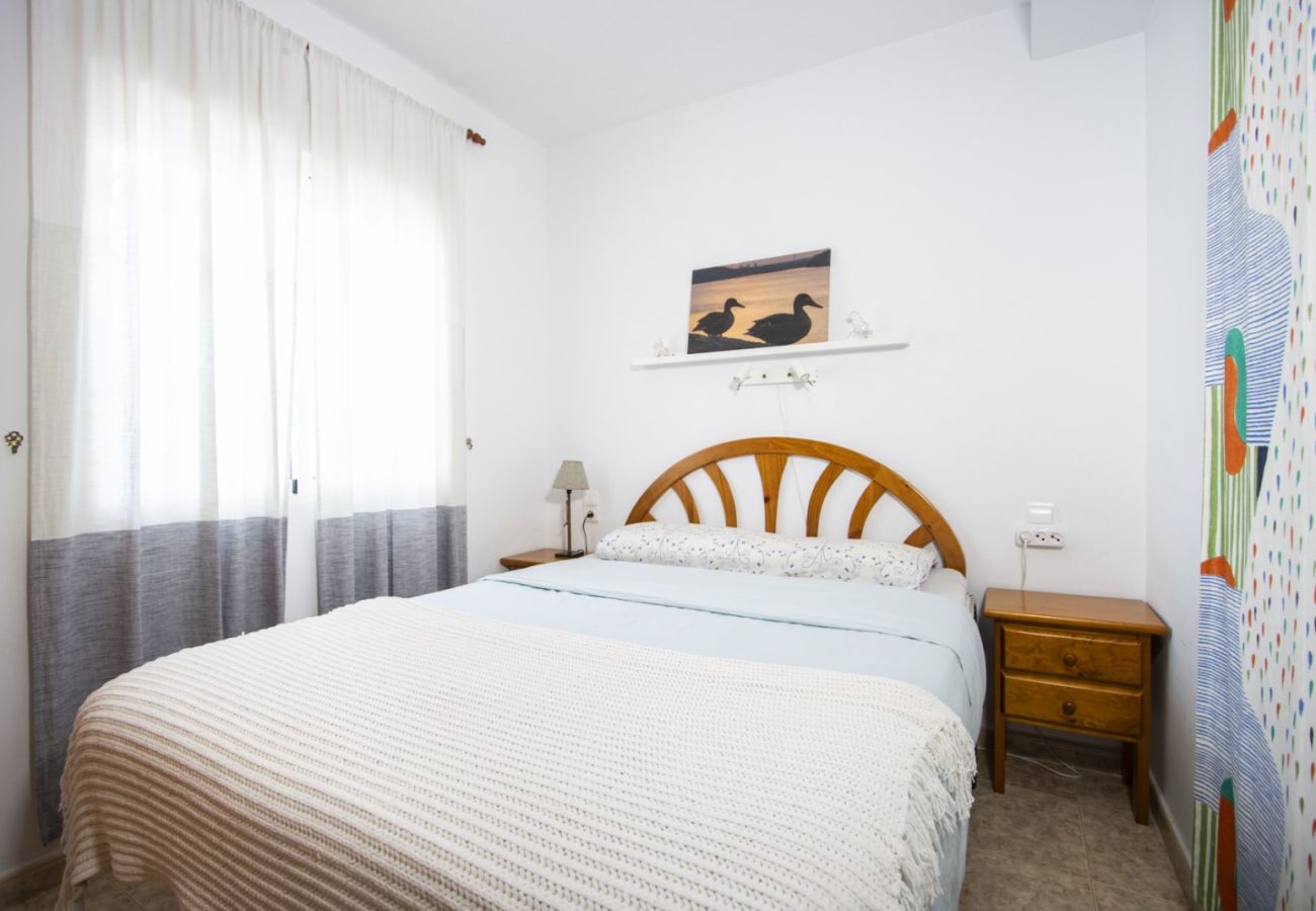 Apartamento en Torrevieja - ID5