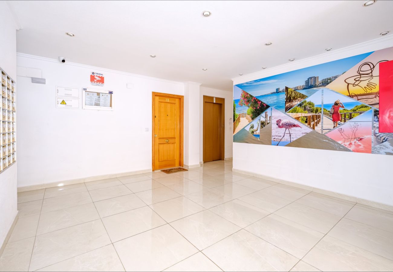 Apartamento en Torrevieja - ID5