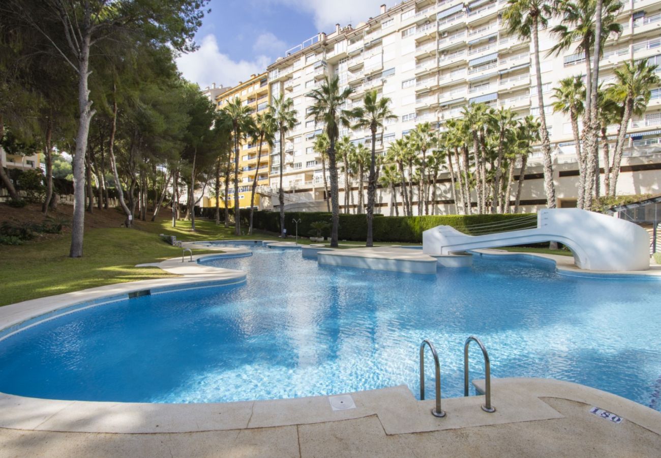 Apartamento en Orihuela Costa - ID174