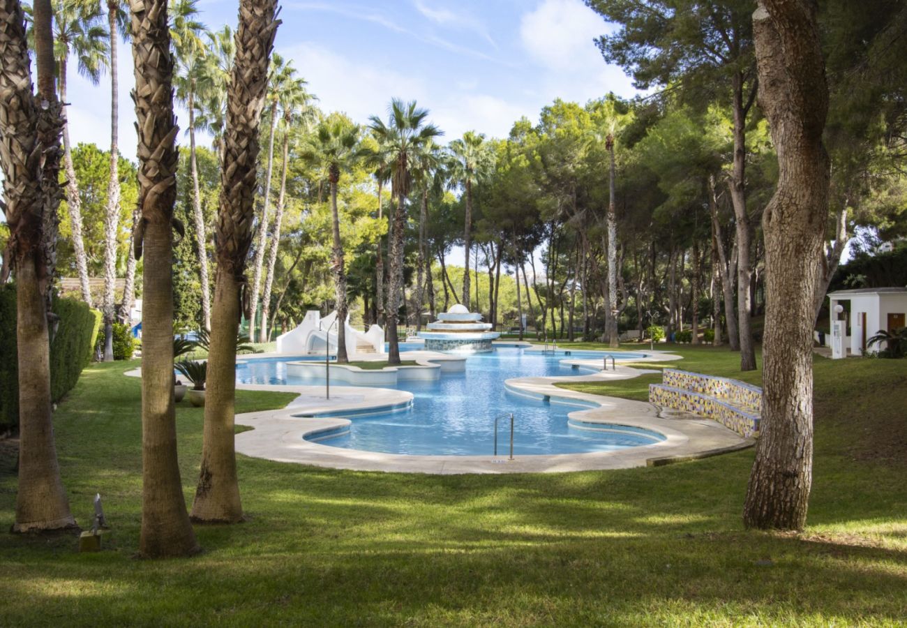 Apartamento en Orihuela Costa - ID174