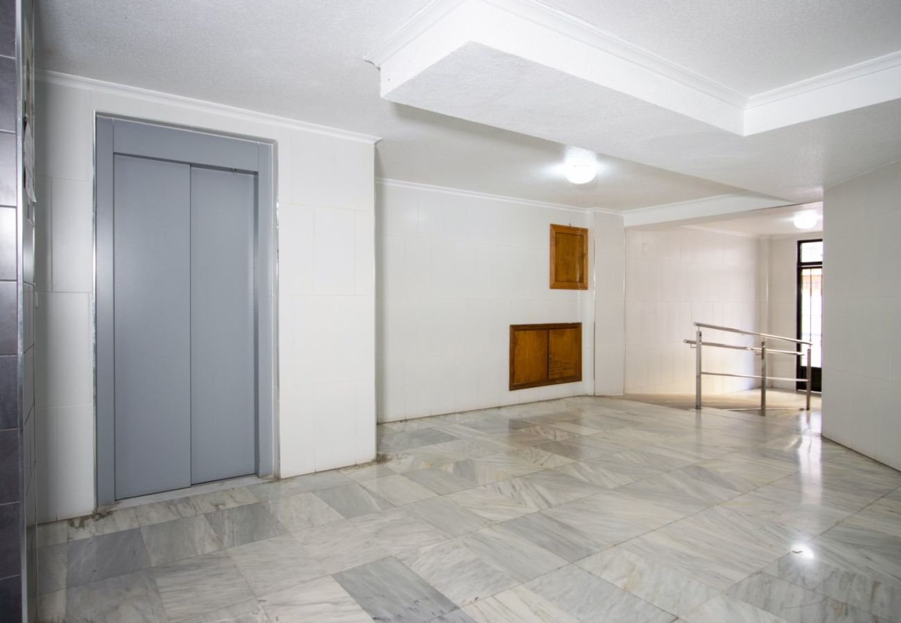 Apartamento en Torrevieja - ID12