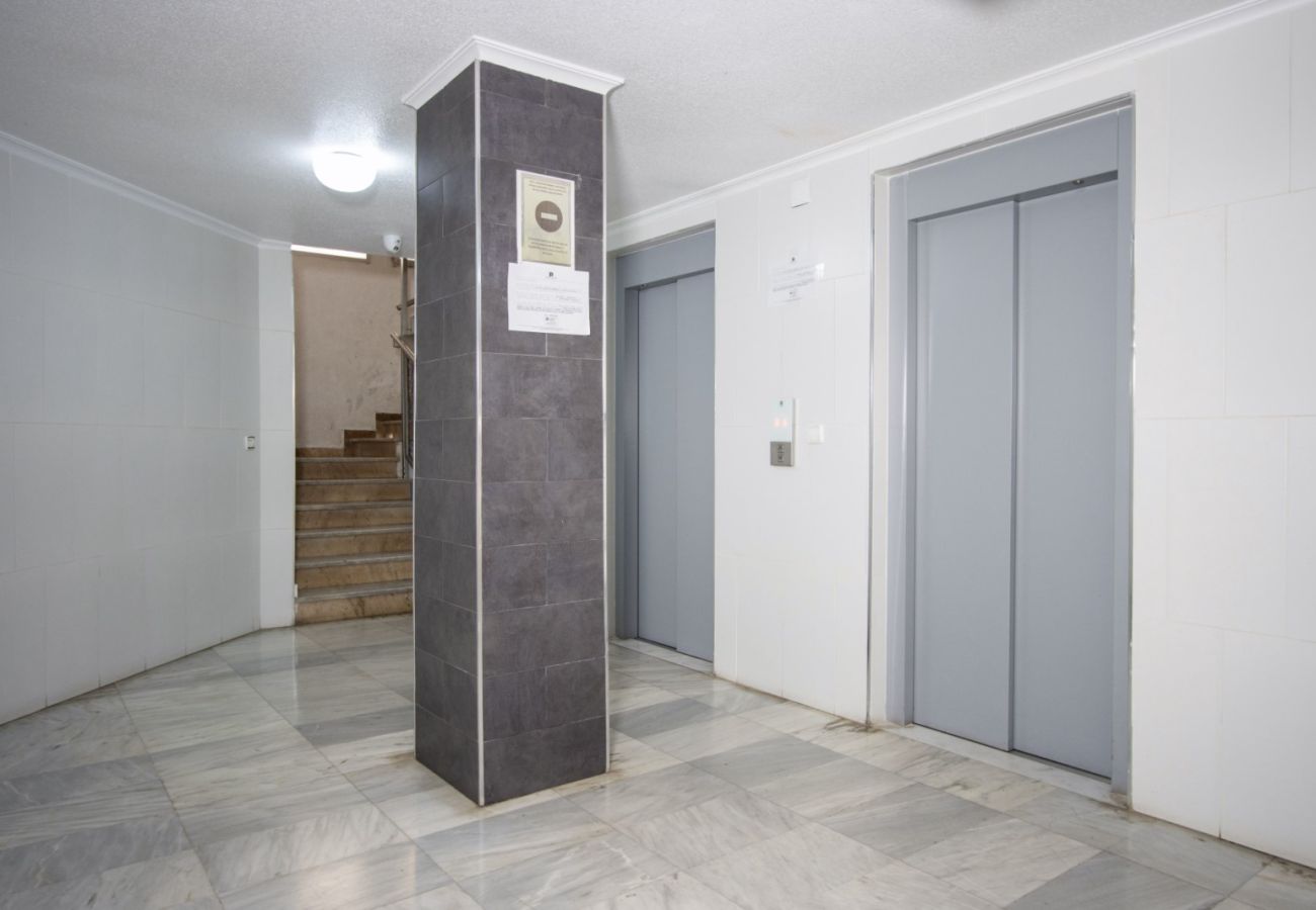 Apartamento en Torrevieja - ID12