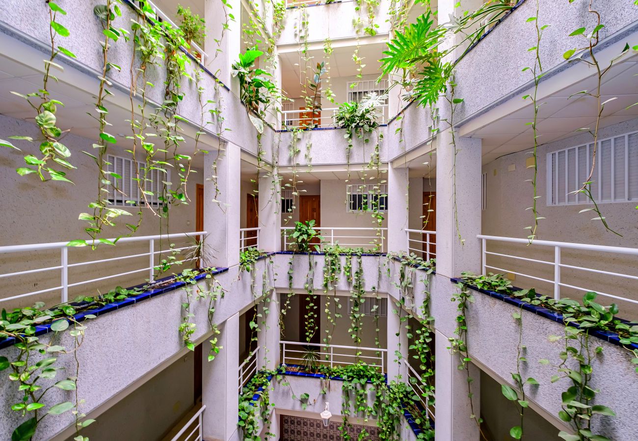 Apartamento en Torrevieja - ID147