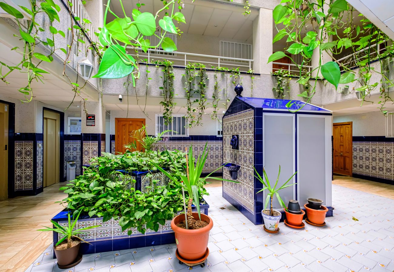 Apartamento en Torrevieja - ID147