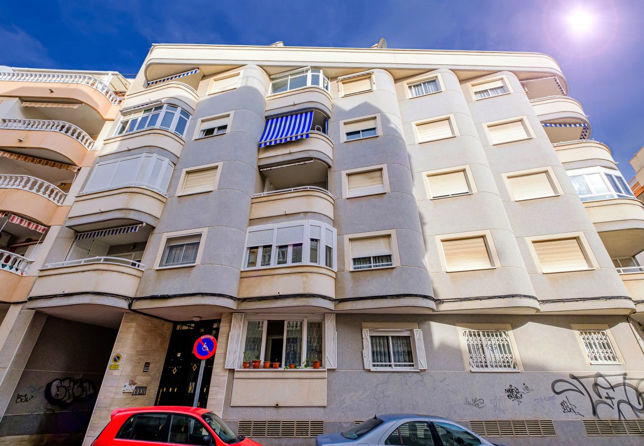 Apartamento en Torrevieja - ID147