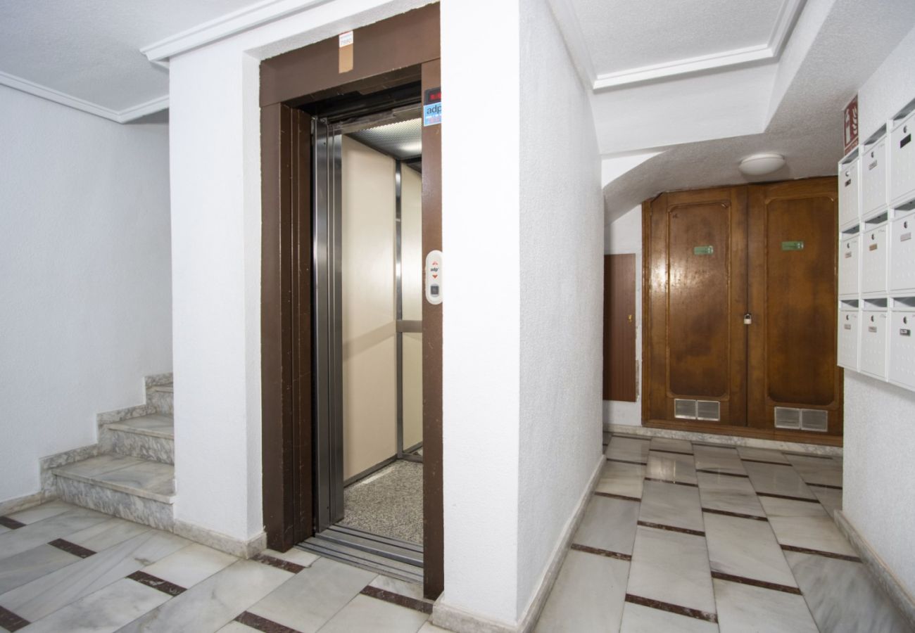 Apartamento en Torrevieja - ID122