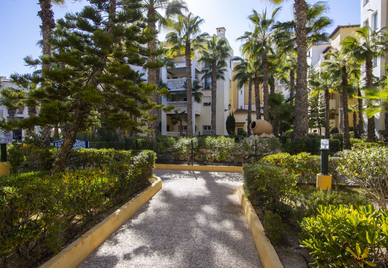 Apartamento en Torrevieja - ID157