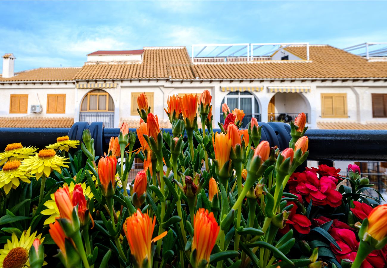 Apartamento en Torrevieja - ID61