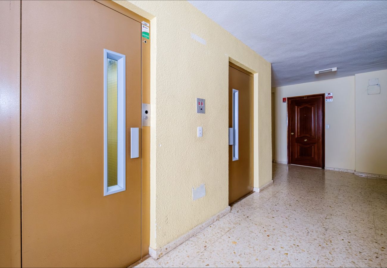Apartamento en Torrevieja - ID65
