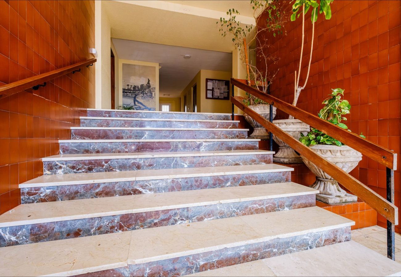 Apartamento en Torrevieja - ID65