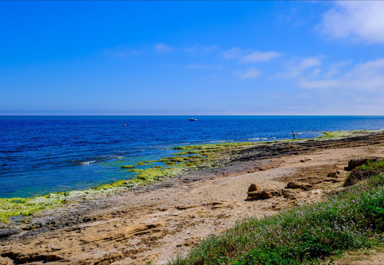 Apartamento en Torrevieja - ID65