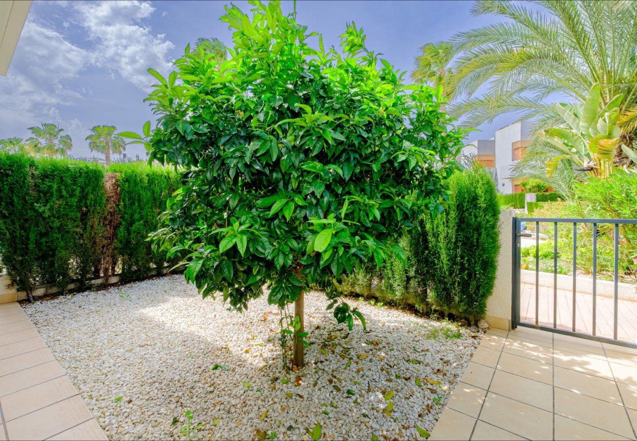 Bungalow en La Zenia - ID137