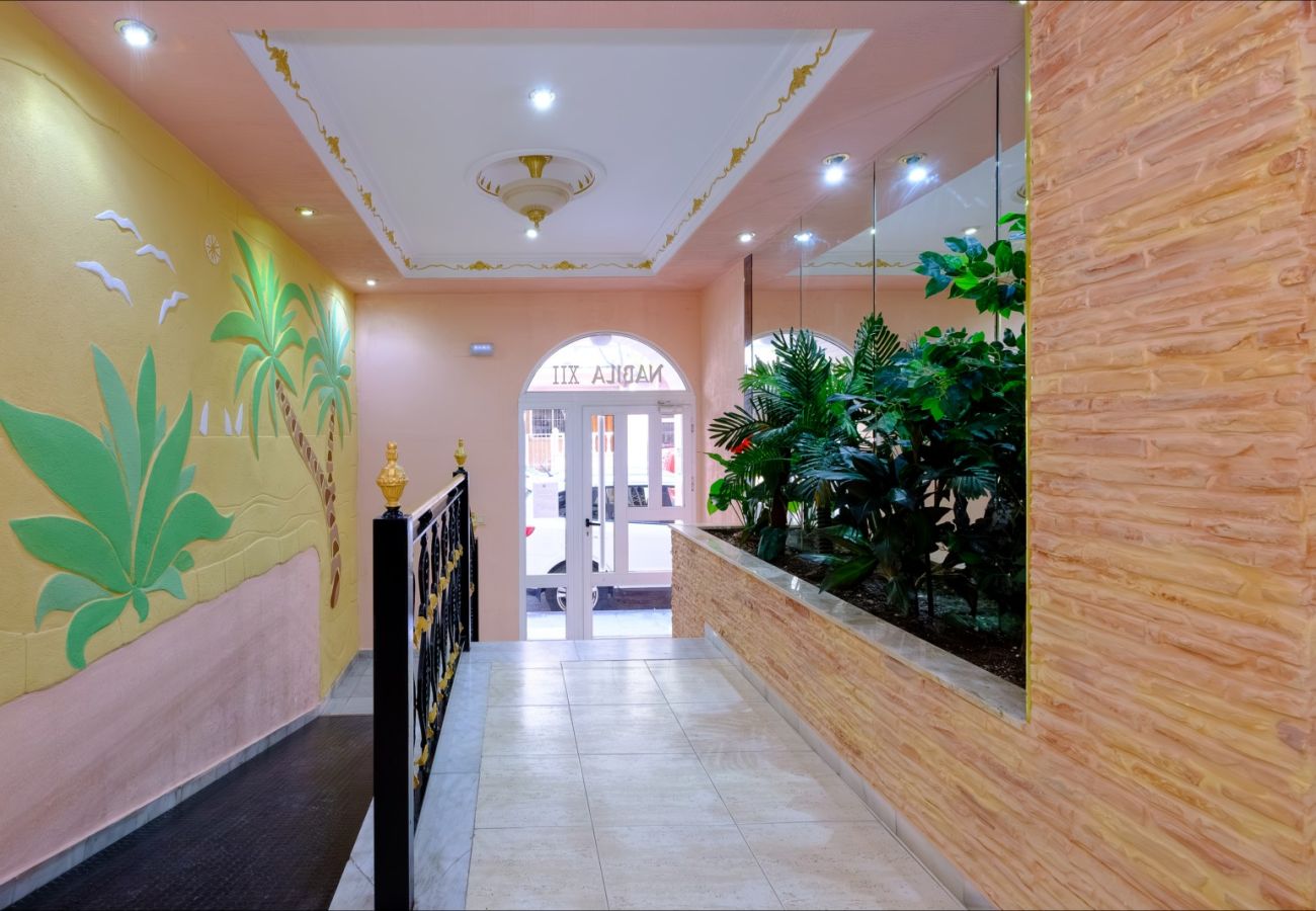 Apartamento en Torrevieja - ID103