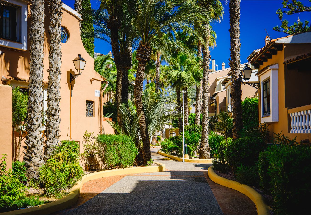 Apartamento en Torrevieja - ID67