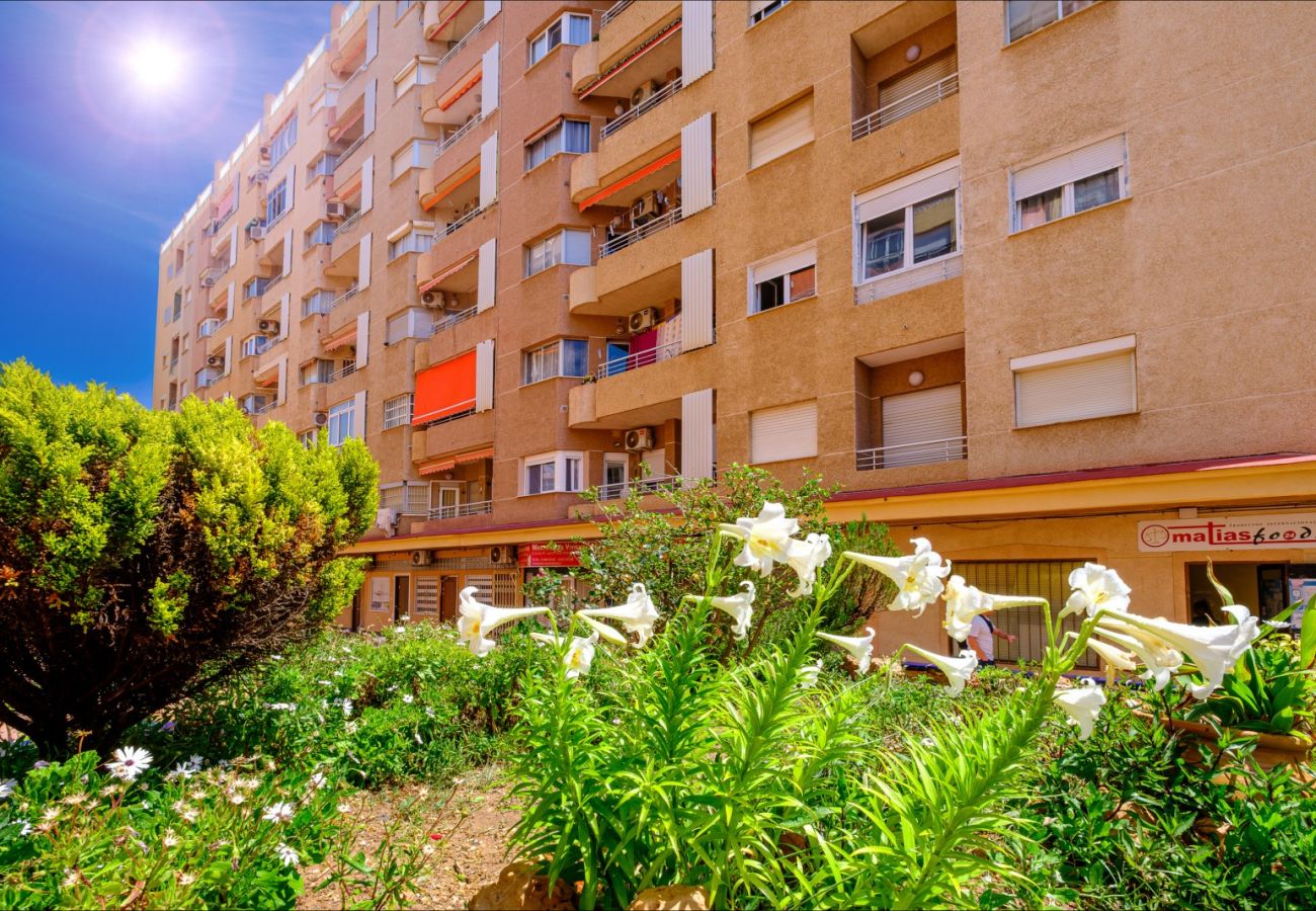 Apartamento en Torrevieja - ID56