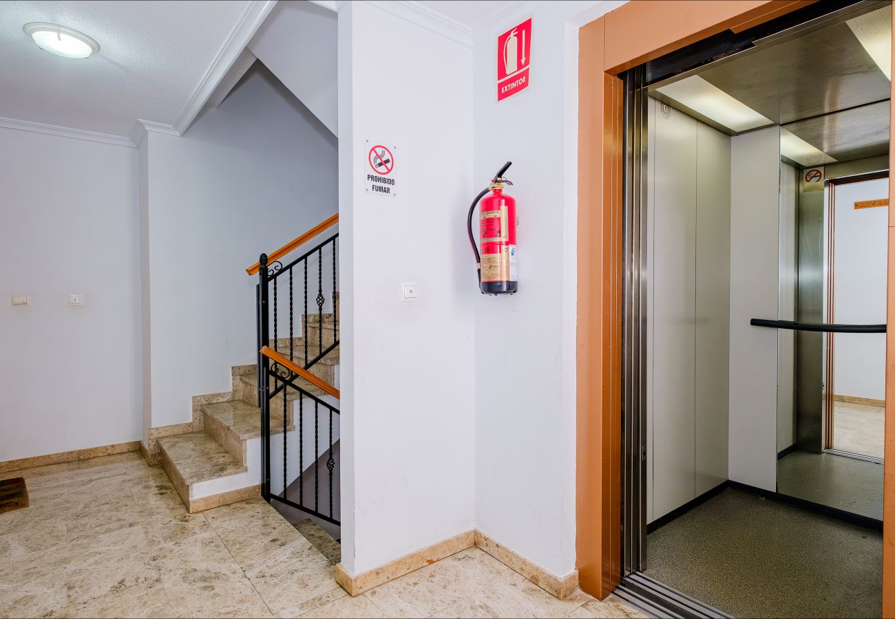 Apartamento en Torrevieja - ID75