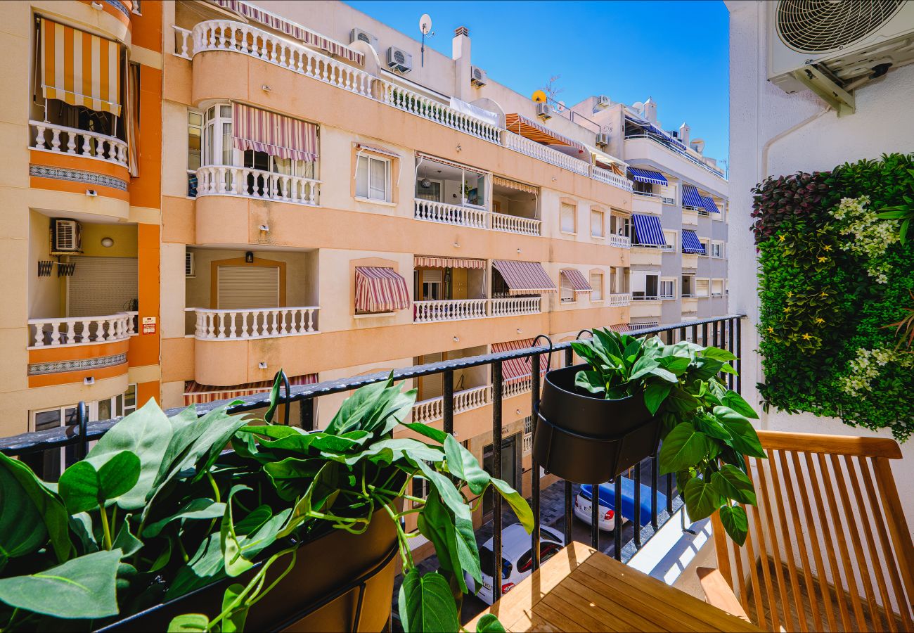 Apartamento en Torrevieja - ID75