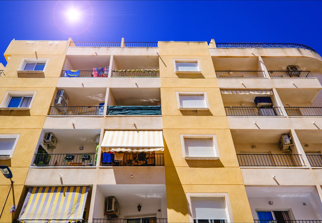 Apartamento en Torrevieja - ID75