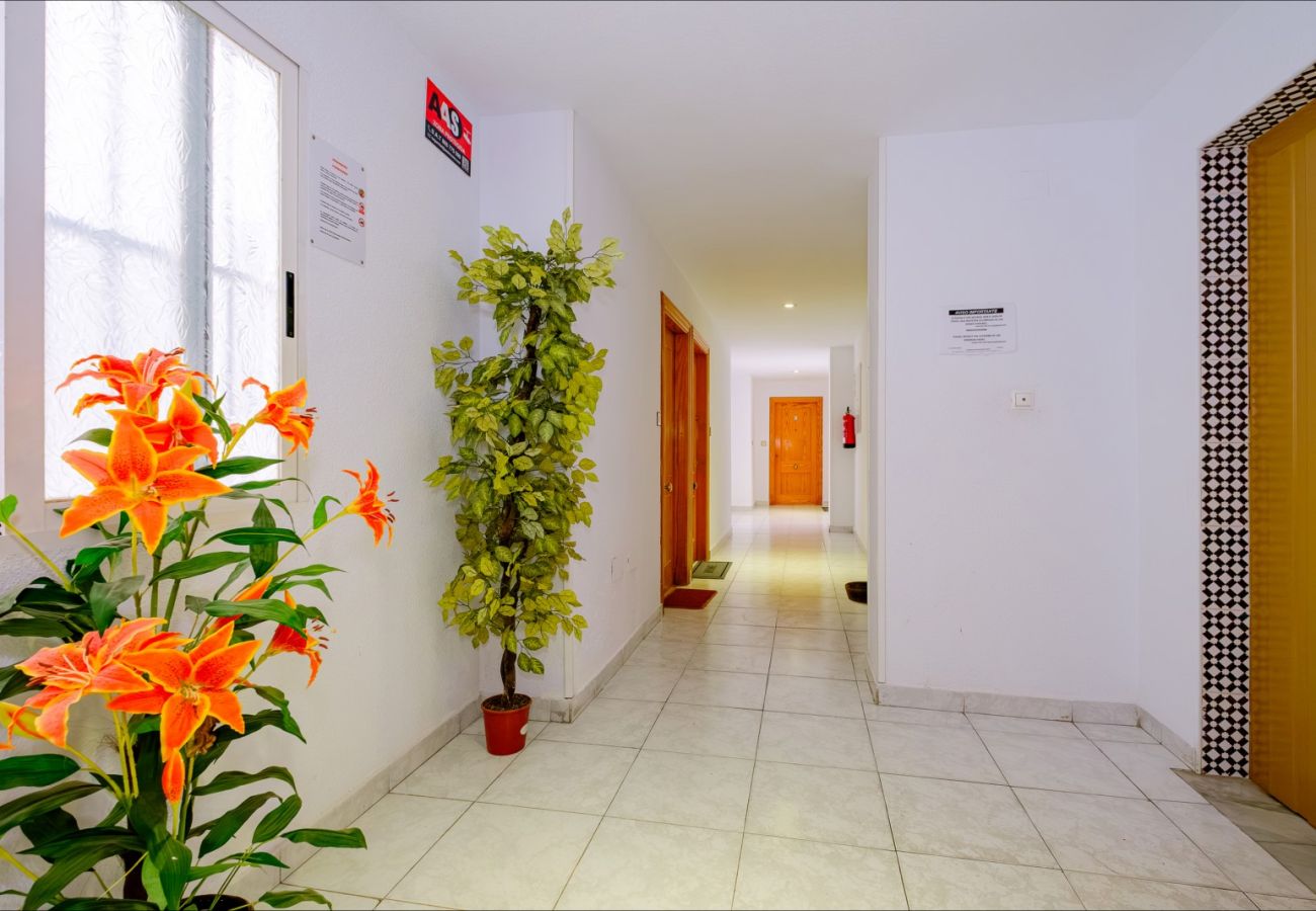 Apartamento en Torrevieja - ID141