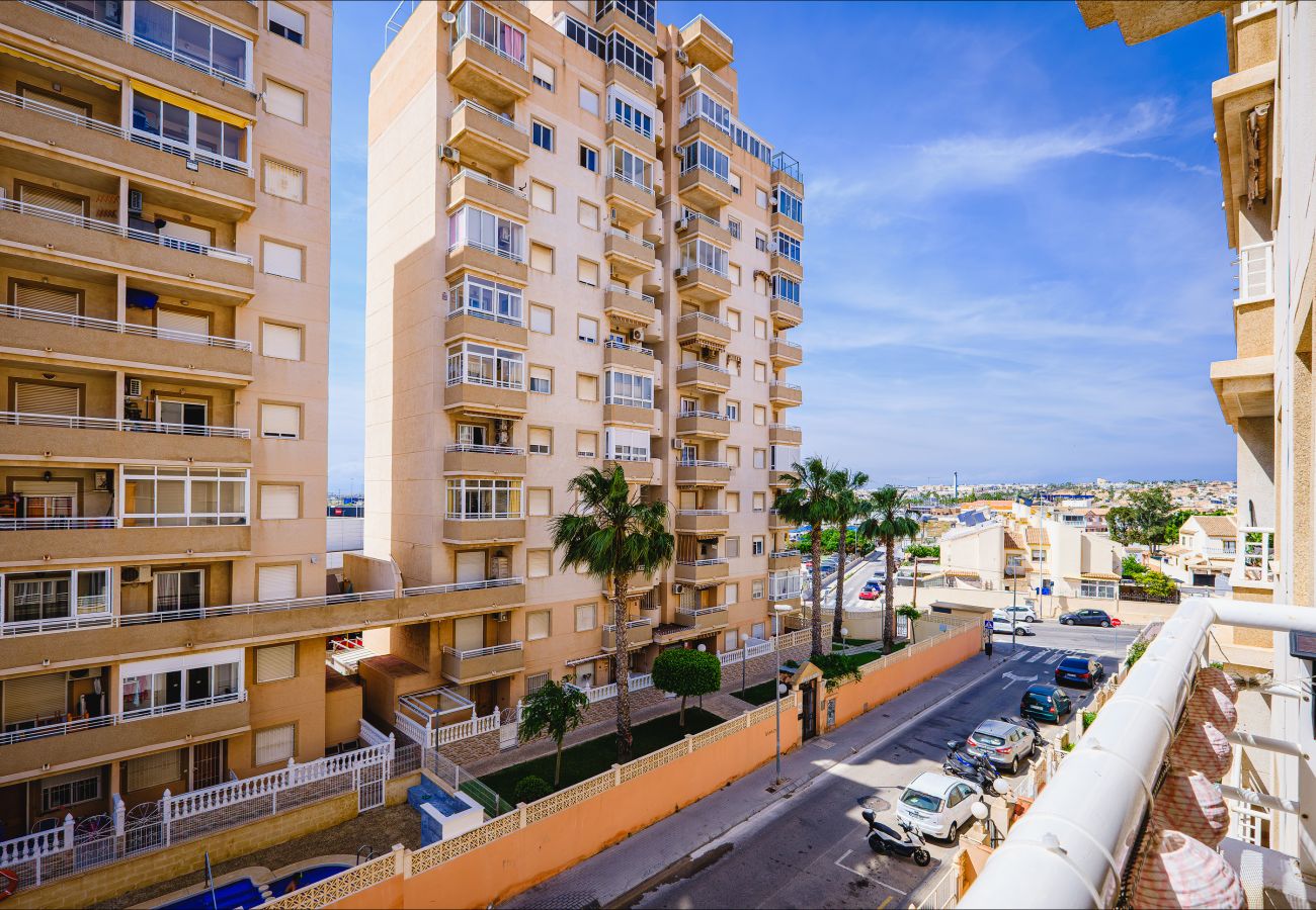 Apartamento en Torrevieja - ID164