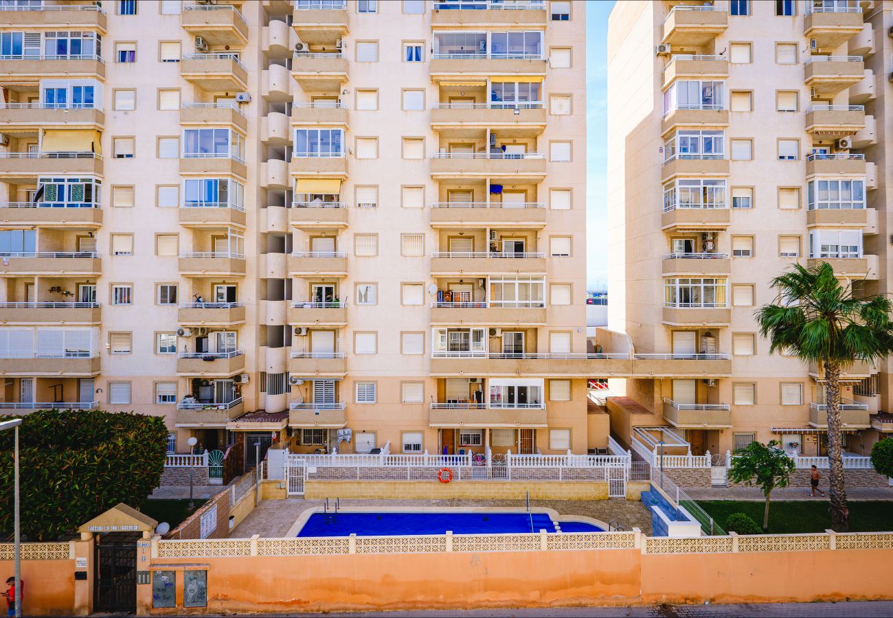Apartamento en Torrevieja - ID164