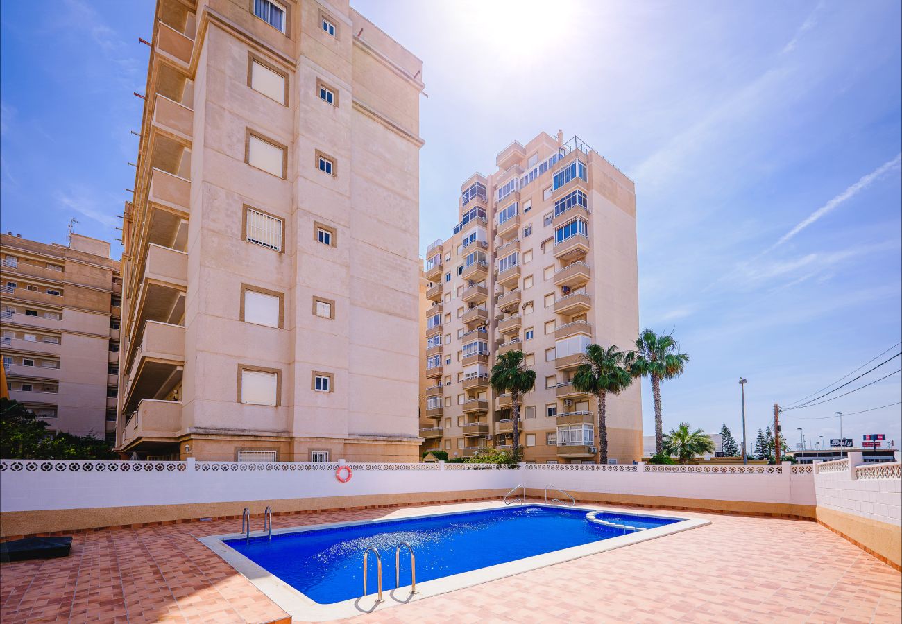 Apartamento en Torrevieja - ID164