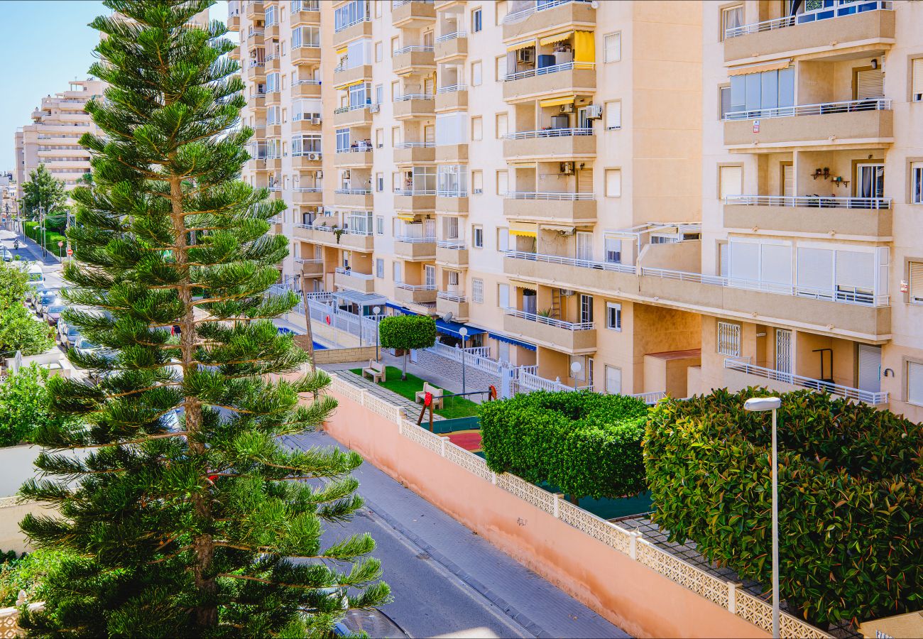 Apartamento en Torrevieja - ID164