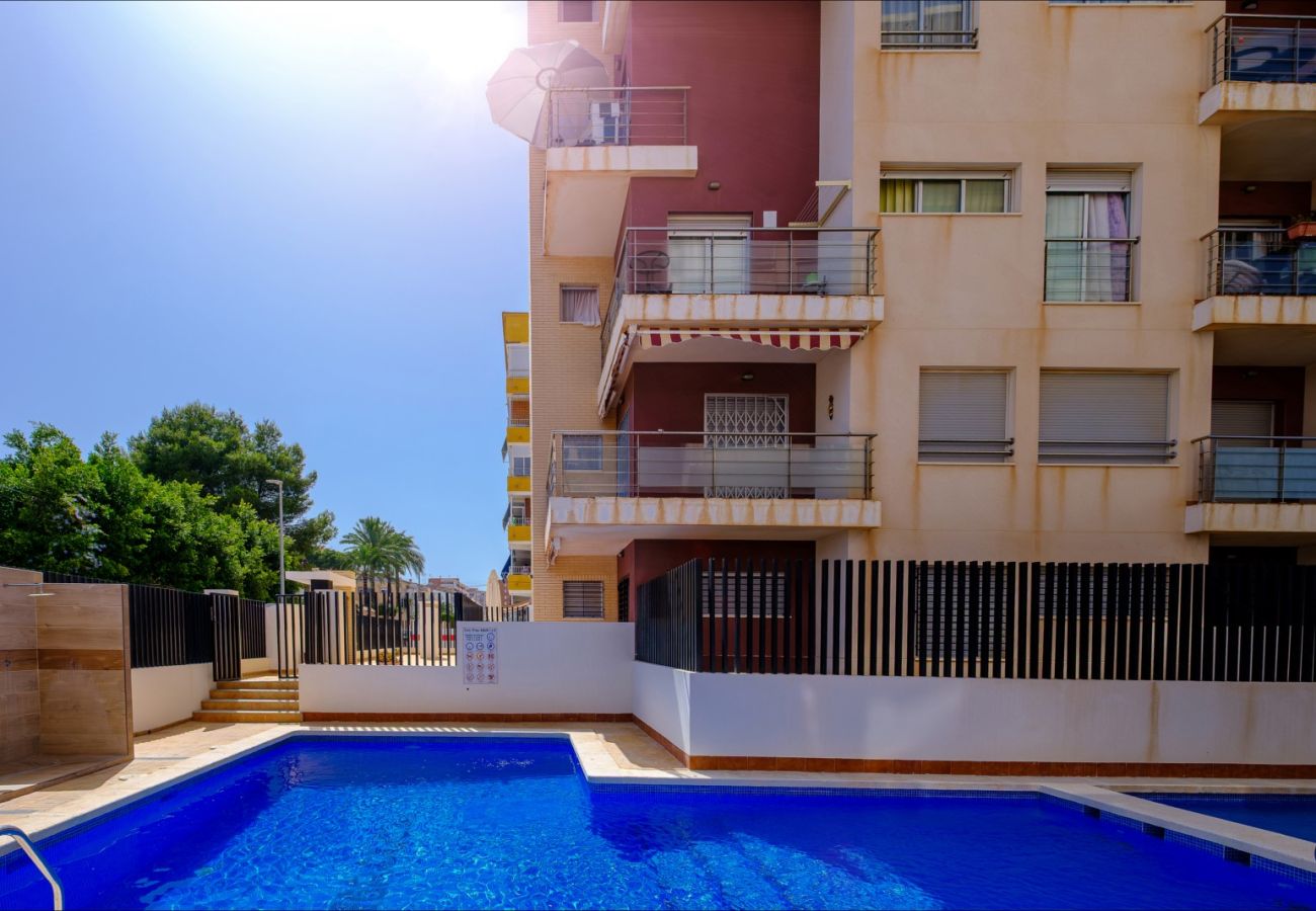Apartamento en Torrevieja - ID78