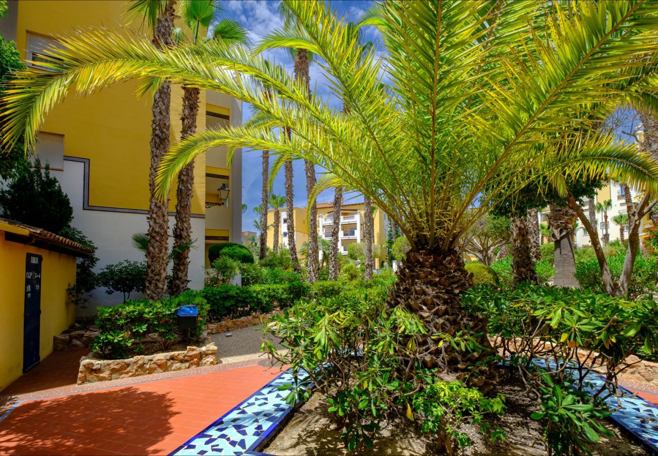 Apartamento en Torrevieja - ID87