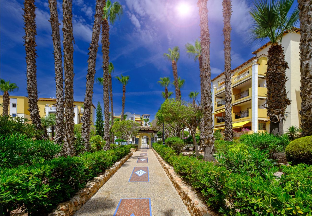 Apartamento en Torrevieja - ID87