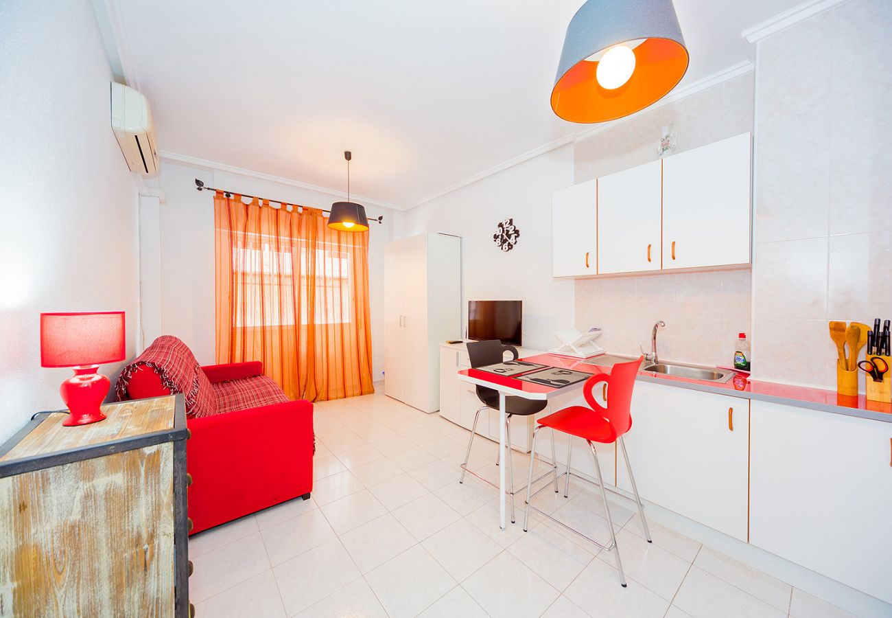 Estudio en Torrevieja - ID145