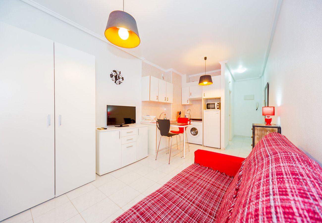 Estudio en Torrevieja - ID145