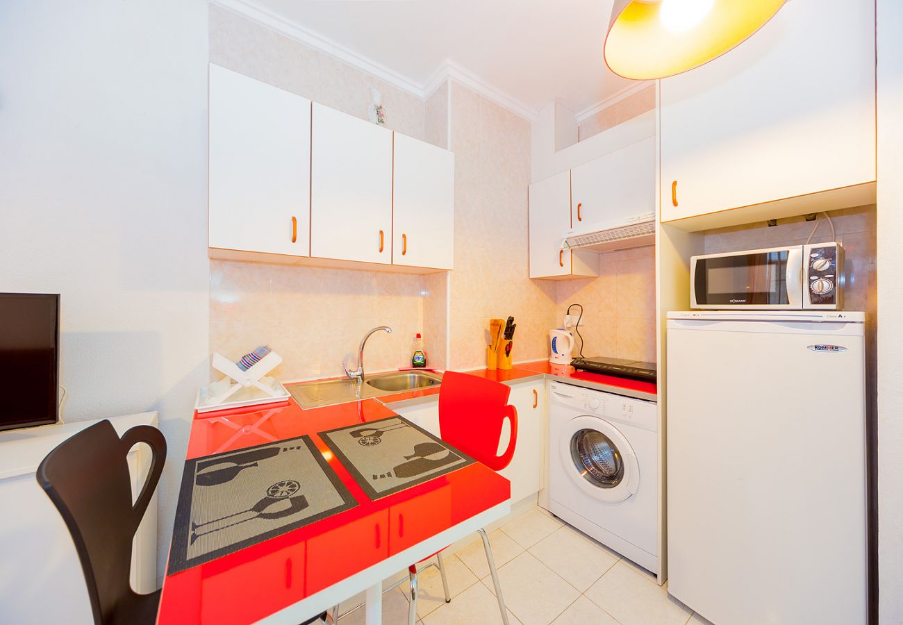 Estudio en Torrevieja - ID145