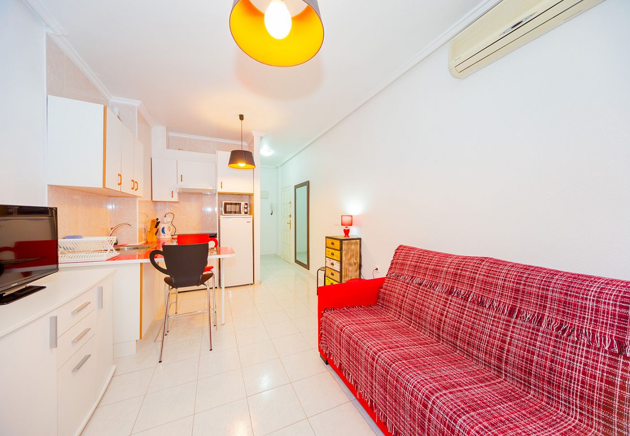 Estudio en Torrevieja - ID145