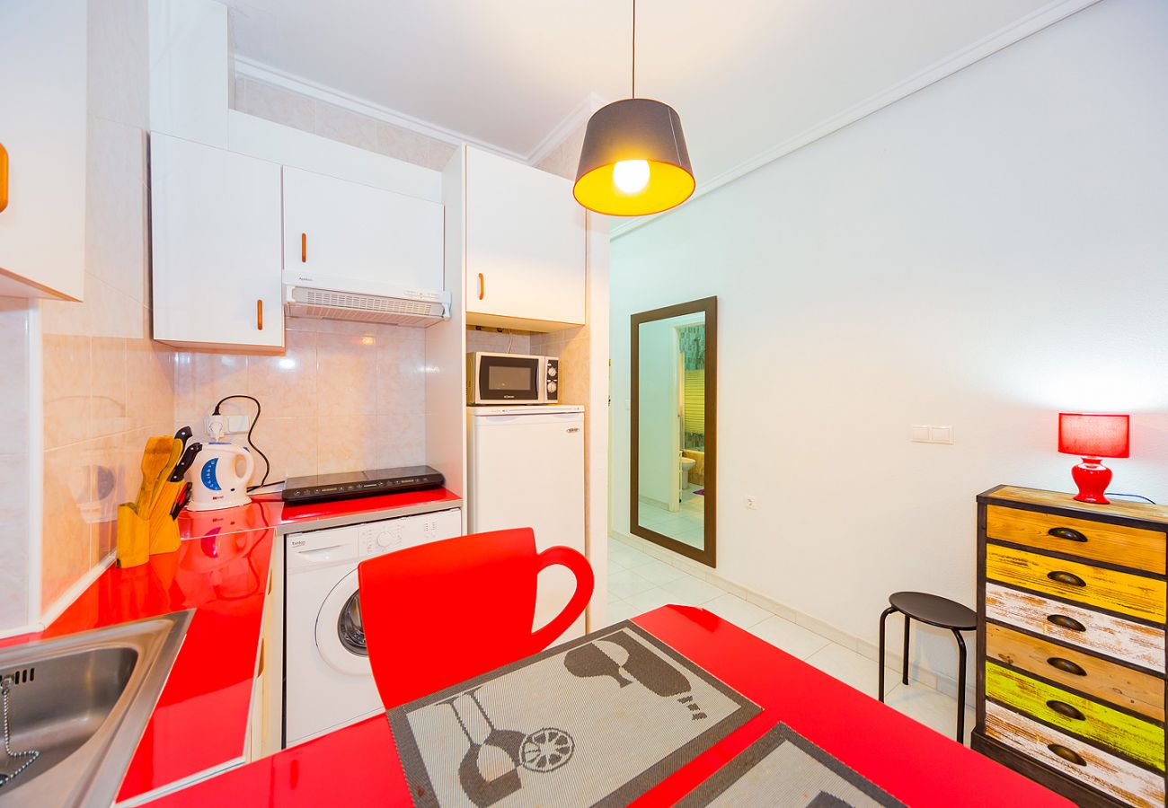 Estudio en Torrevieja - ID145