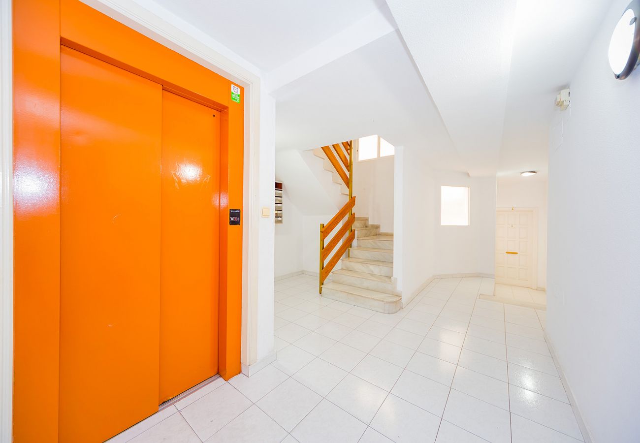 Estudio en Torrevieja - ID145