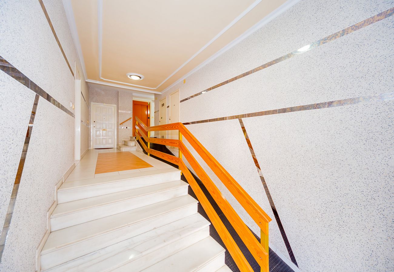 Estudio en Torrevieja - ID145