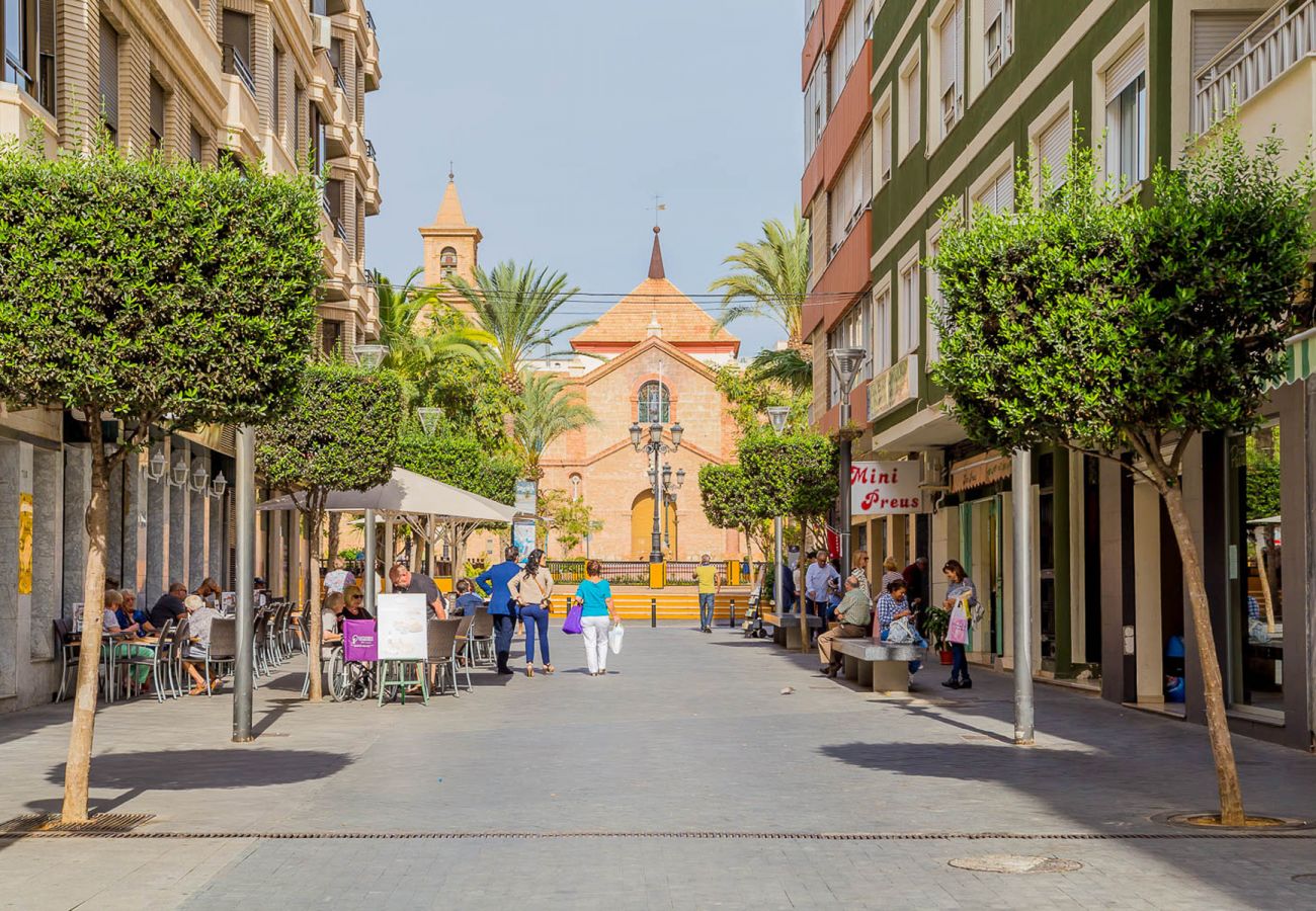 Estudio en Torrevieja - ID145