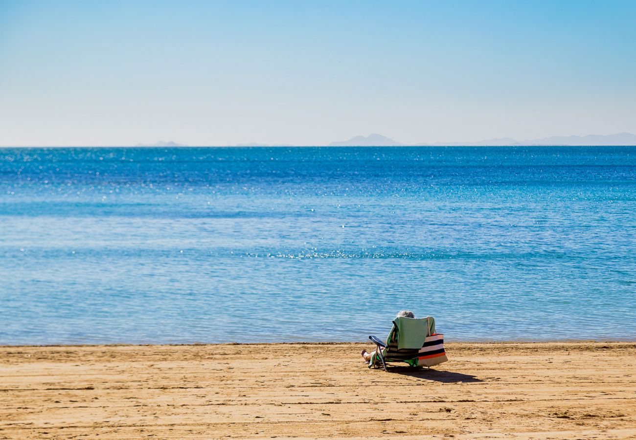 Estudio en Torrevieja - ID145