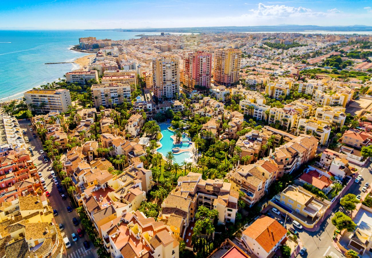Estudio en Torrevieja - ID145