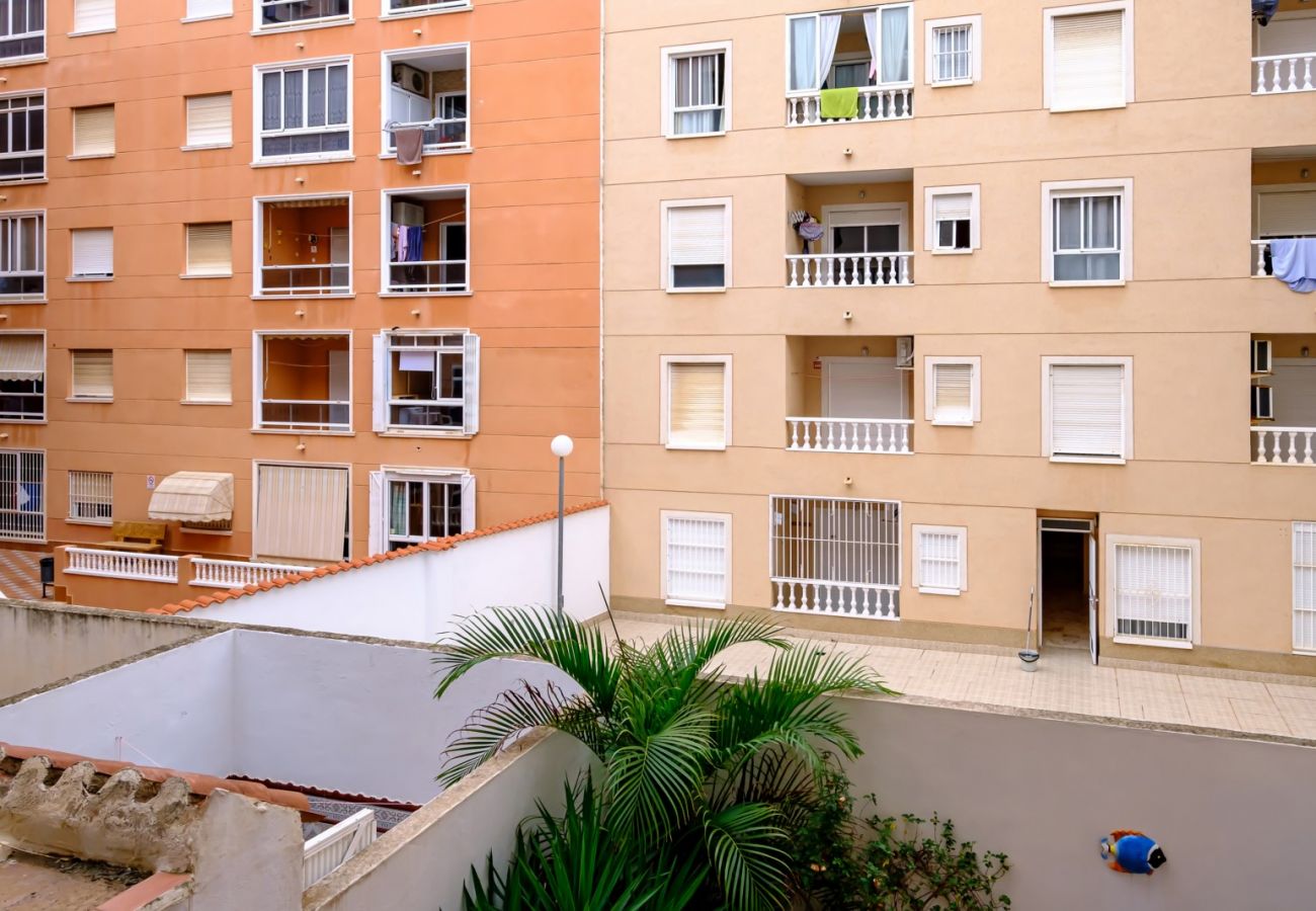 Apartamento en Torrevieja - ID18