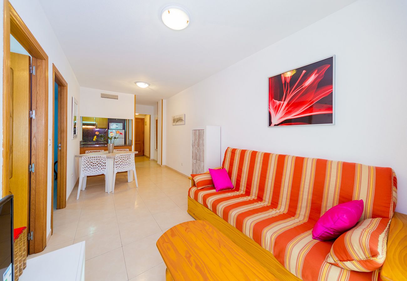 Apartamento en Torrevieja - ID84