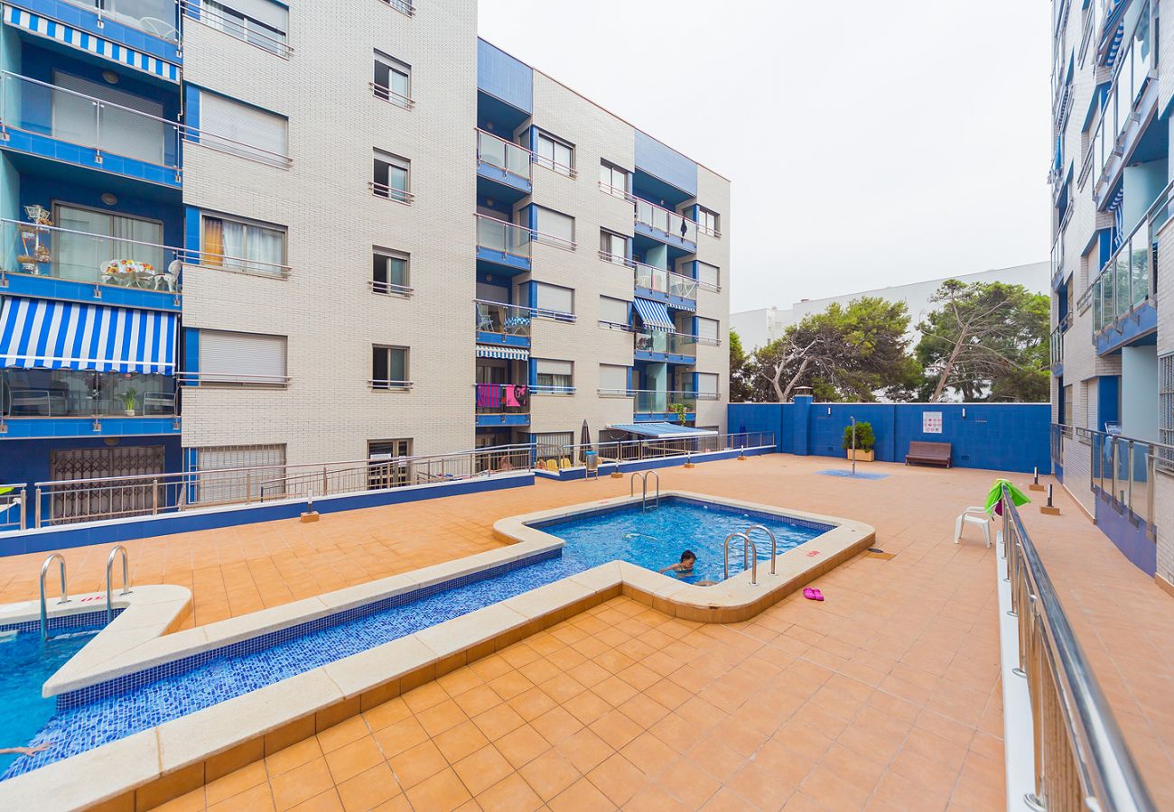 Apartamento en Torrevieja - ID84